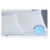 Pillows Keeco