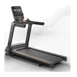 Treadmill Lifestyle Matrix