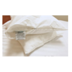 Pillow Protector