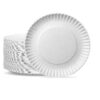 Paper Plates 9″