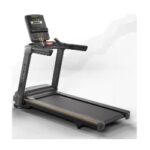 Treadmill Lifestyle Matrix