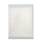 Soap Dish LaCoupe