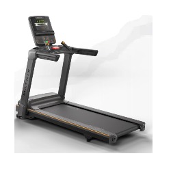 Treadmill Lifestyle Matrix