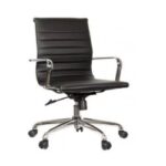 Ergonomic Desk Chair