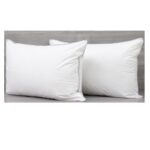Pillow Eden Indulgence (Canada)