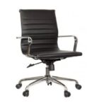 Ergonomic Desk Chair