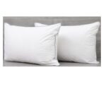 Pillow Eden Indulgence (Canada)