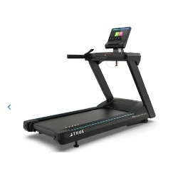 Bike – Recumbent True Fitness