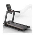 Treadmill Lifestyle Matrix