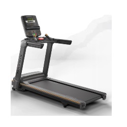 Treadmill Lifestyle Matrix