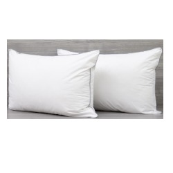 Pillow Eden Indulgence (Canada)