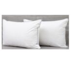 Pillow Eden Indulgence (Canada)