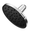 Showerhead Moen