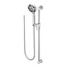 Showerhead Handlheld Moen