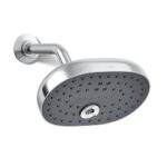 Showerhead Kohler Statement