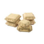 Container Bagasse