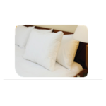 Enova Green Sheets