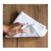 Cloth