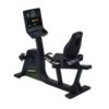 Recumbent Cycle G574R Sports/Art