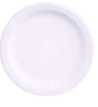 Paper Plate Heavy Weight Compostable 9″