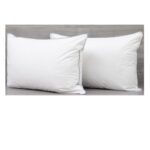 Pillow Eden Indulgence (Canada)