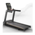 Treadmill Lifestyle Matrix