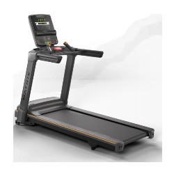 Treadmill Lifestyle Matrix