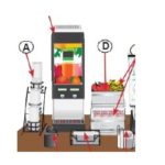 Breakfast Order Guide - Hubert Canada
