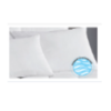 Pillows Keeco - 39% Savings  *Required*