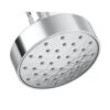 Shower Head Kohler Awaken