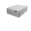 Beds - Serta Cheshire Elite II Plush