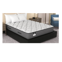 Furniture & Fixtures