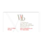 Vīb Business Cards *Branded*
