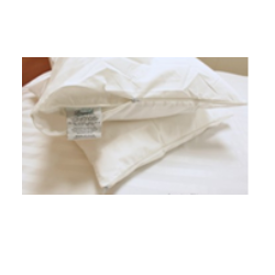 Pillow Protector