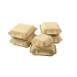 Container Bagasse