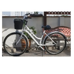 Bicycle Rental