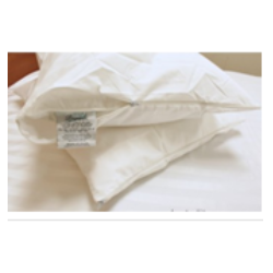 Pillow Protector Keeco