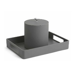 Tray Ice Bucket Paradigm Trends