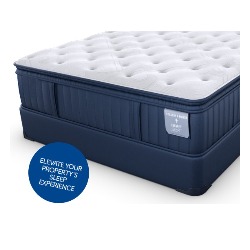 Sealy Stearns & Foster Comfort LX III