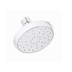 Kohler Showerhead Awaken